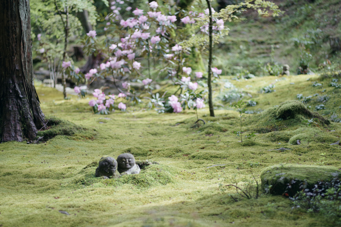 お写ん歩: smc PENTAX FA 43mm F1.9 Limitedアーカイブ